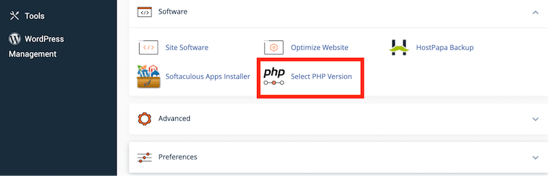 how to know the PHP version in WordPress