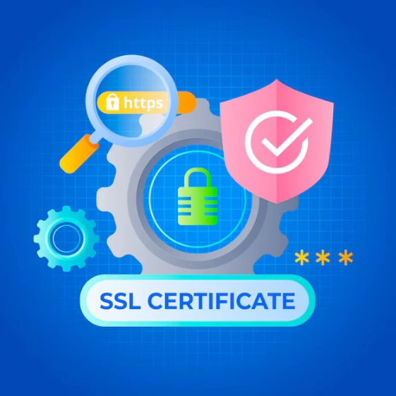 SSL Certificate one among the key Factors that Impact WordPress Website Maintenance Cost