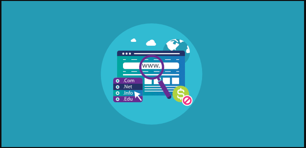 Domain Name one among the key Factors that Impact WordPress Website Maintenance Cost